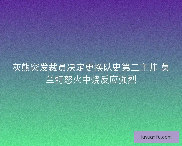 灰熊突发裁员决定更换队史第二主帅 莫兰特怒火中烧反应强烈