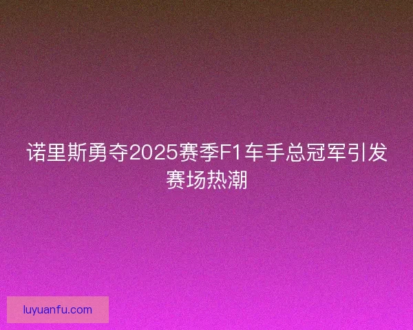 诺里斯勇夺2025赛季F1车手总冠军引发赛场热潮